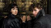 ‘Fantastic Beasts’ Franchise Is ‘Parked,’ Says Director David Yates: ‘No One Told Us There Were Going to Be Five’ Movies...