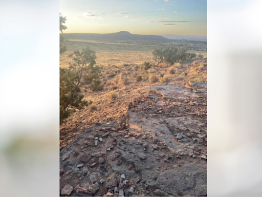 Optical Illusion: Only a true observer can spot the Fox in this beautiful landscape | - Times of India