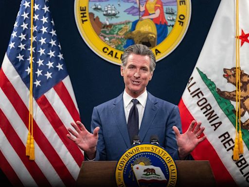 Newsom’s lawyers believe voters aren’t capable of making informed decisions about taxes | Opinion