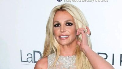 Britney Spears Is 'Completely Dysfunctional' as Singer's Mental Health and Poor Finances Put Her in 'Serious Danger': Source