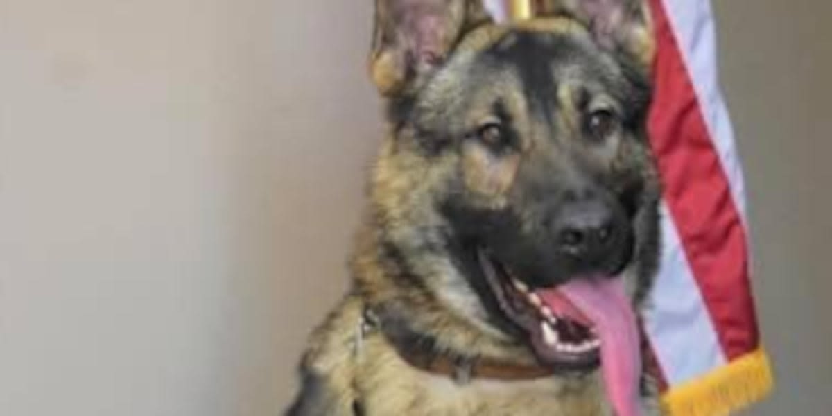 K9 Officer Horus suffers untimely death