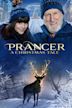 Prancer: A Christmas Tale