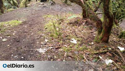 Ecologistas alertan de que la falta de control de los turistas altera el entorno y la biodiversidad de Canarias