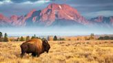 The Best National Parks in the US