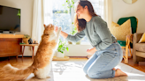 Expert reveals how to teach a cat a trick (we can’t believe how simple it is!)
