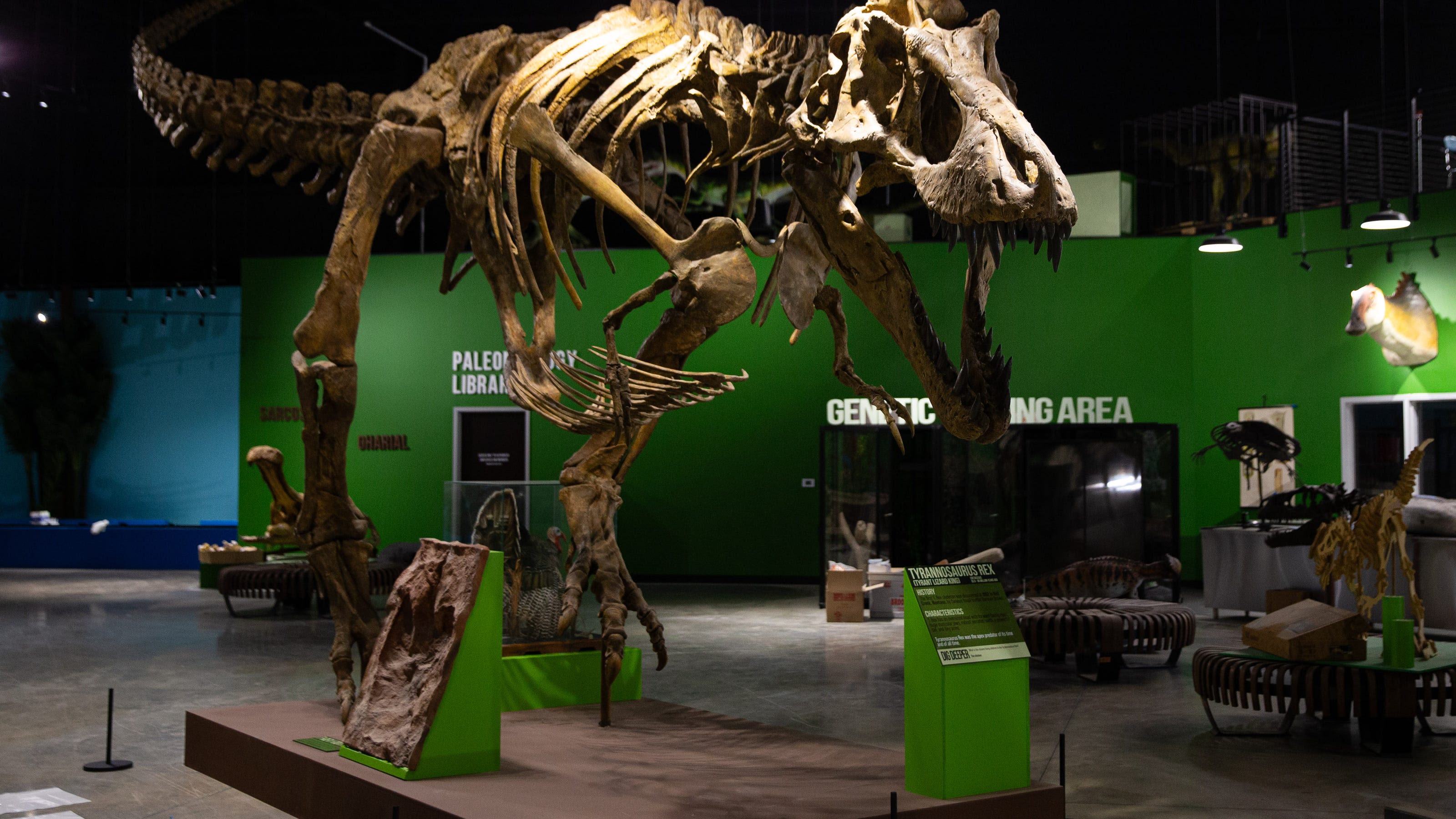 Chocolate and dinosaurs, oh my! The Indiana Dinosaur Museum opens this week in South Bend