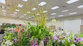 Planting Fields Arboretum hosting Long Island Orchid Festival this weekend