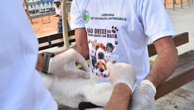 Projeto torna obrigatória vacinação de animais domésticos - Imirante.com