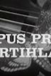 Opus Pro Smrtihlava