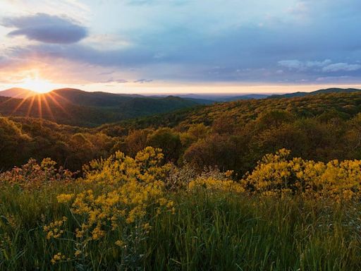 From summits to waterfalls, Shenandoah National Park is perfect for the entire family