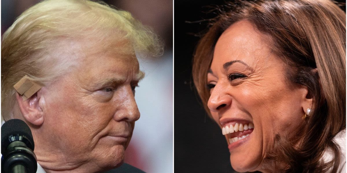 Karl Rove reveals who he 'fully expects' will lead Trump-Harris race by DNC's end