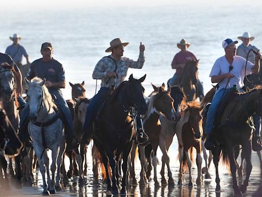 Perspective: Western rangelands are overpopulated with wild horses. The East can help