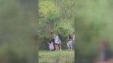 No charges for group seen pulling bear cubs from tree, posing for pictures
