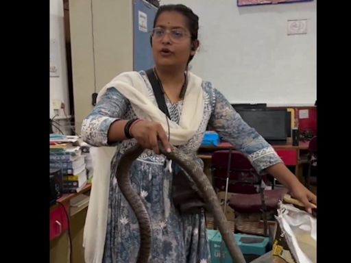 Viral: Fearless woman steps up to capture massive snake hiding in an office desk