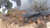 "Nos preocupa la situación del combustible forestal por la sequía": la Región de Murcia entra en la época de mayor riesgo de incendios forestales