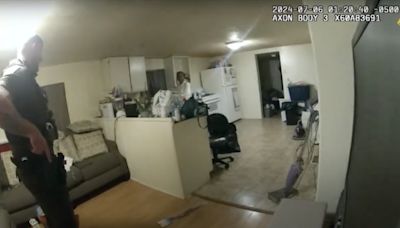 Bodycam video released in case of Sangamon County deputy shooting Black woman who called 911