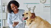 Floridians spend the most on their vet bills. These are cheapest pet insurances in Florida