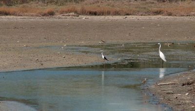 Italian island of Sardinia declares state of emergency after persistent drought