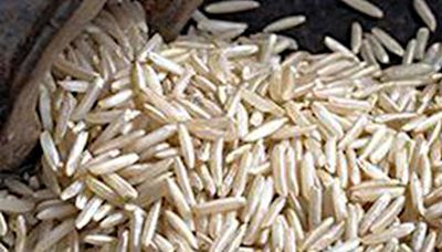 Punjab’s rice exporters want Centre to push aromatic basmati rice over water-guzzling paddy