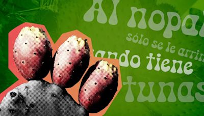 Refranes mexicanos: “Al nopal sólo se le arriman cuando tiene tunas”, su origen y significado