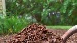 16 Types of Mulch for Landscaping and Gardening