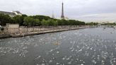 Paris mayor is confident that water quality will allow Olympic swimming in the River Seine | Texarkana Gazette