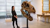 Everything You Need to Know Before Buying a Dinosaur Skeleton for Your Home