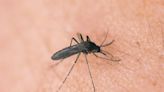 West Nile Virus found in mosquitos and birds in 13 Illinois counties