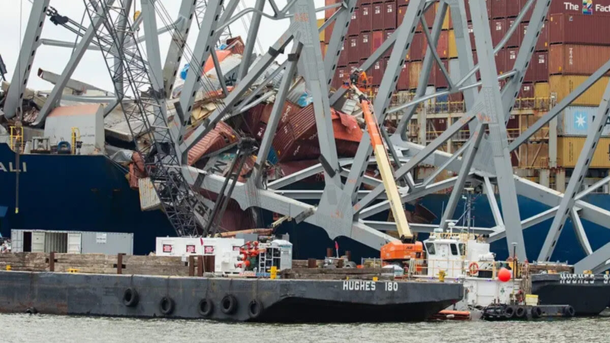 Visibility platform GoComet: Norfolk-area ports gained most from Baltimore port closure