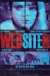 WebSiteStory