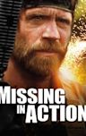 Missing in Action (film)