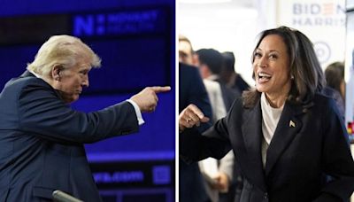 Donald Trump campaign launches new ads in battleground states; calls Kamala Harris 'dangerously liberal'