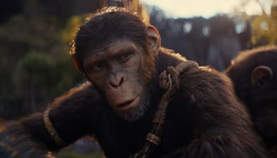 I Loved Kingdom Of The Planet Of The Apes, But There...Excited To Revisit The Film All Over Again