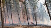 International firefighters join B.C. wildfire fight