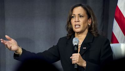 Harris failed to combat ‘root causes’ of illegal immigration, former Border Patrol union chief says