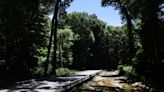 What are the best trails to hike near Memphis as temperatures drop? Here are some ideas