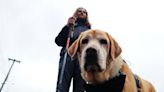 Documentário registra jornada de caxiense e cão-guia na Romaria de Caravaggio | Pioneiro