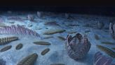 Las primeras criaturas marinas impulsaron la evolución agitando el agua