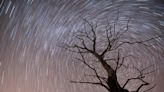 Leonids meteor shower to bring bright, colorful light show: How to watch