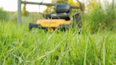 Can You Really Mow Wet Grass? 8 Reasons Why It Isn't a Good Idea