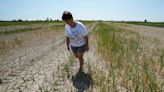 El cambio climático viene a por nuestro dinero: ¿Qué países saldrán más perjudicados?