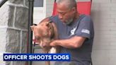 Owner mourns dog after Philadelphia police officer shoots, kills 2 pit bulls during dog fight - ABC17NEWS