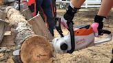 Video: How to Sharpen or Replace a Chainsaw Blade