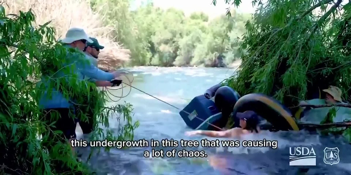 New video shows harrowing rescue of 100+ people trapped on Salt River