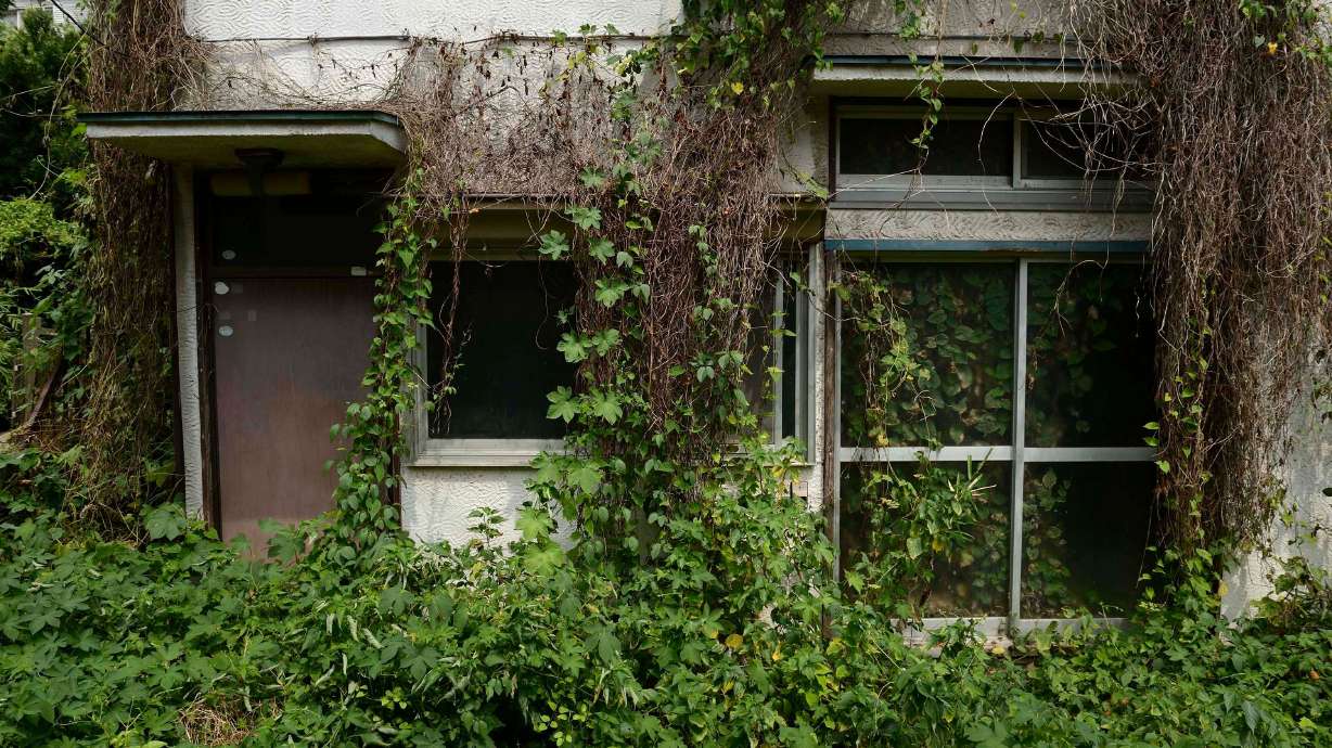 Super-aged Japan now has 9 million vacant homes. And that's a problem