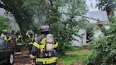 Tree limb falls on power line, causing fire at home