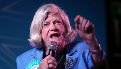 Ann Widdecombe claims Reform stands for 'two words' as she slams Rwanda plan