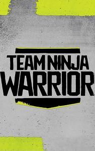 Team Ninja Warrior