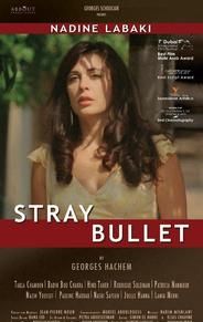 Stray Bullet (2010 film)