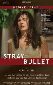 Stray Bullet